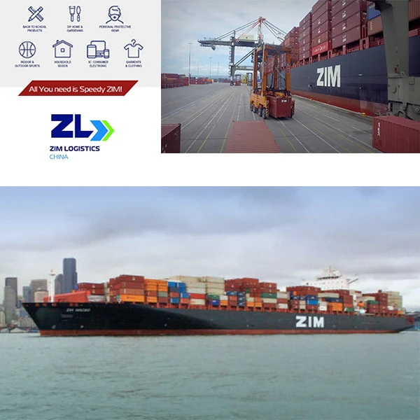 LCL FCL EXW FOB 20ft 40ft Full Container Load by Sea Shipping Freight Forwarder From China To All Over The World