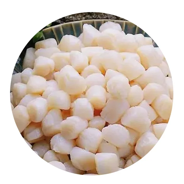
Wholesale Prices Frozen Hotate Sea Scallop Meat Roe Off Japan 