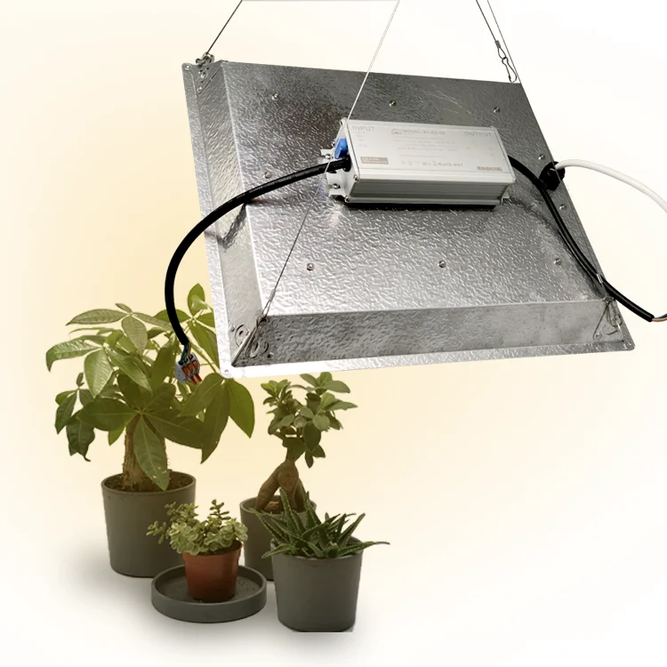 Набор осветительных приборов ZTLP LP-100 для гидропонных систем выращивания растений полный