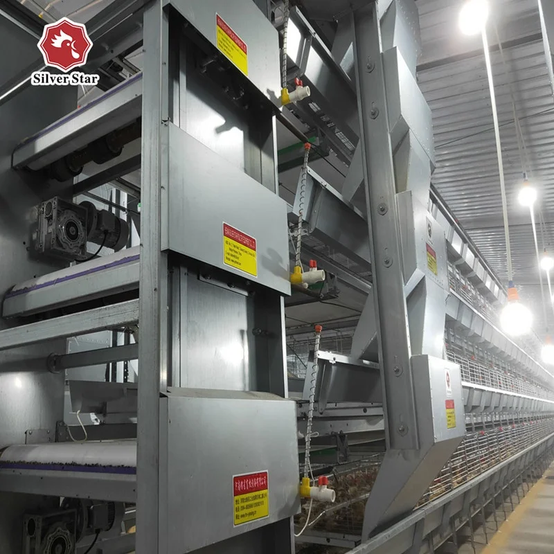 Long life zinc aluminium full automatic chicken cage broiler equipment.jpg