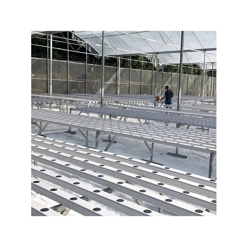 Low cost NFT hydroponics system for vegetable vertical hydroponic growing in greenhouse PVC pipe aquaponic system