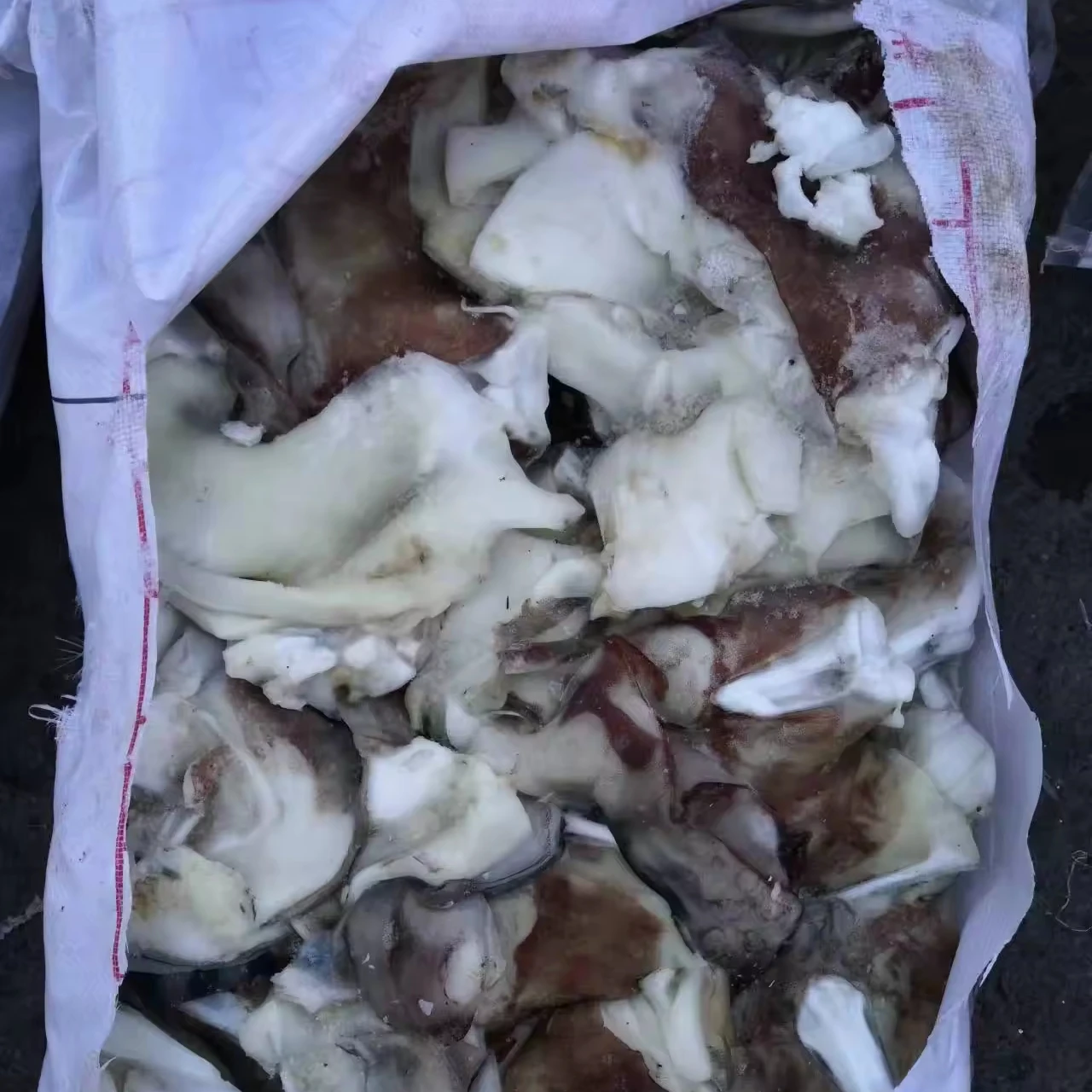 Frozen squid neck for sale squid neck giant squid neck