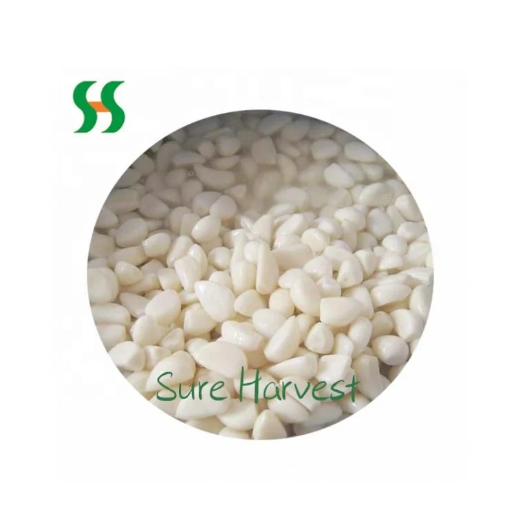 Wholesale Brine Garlic In Bulk China