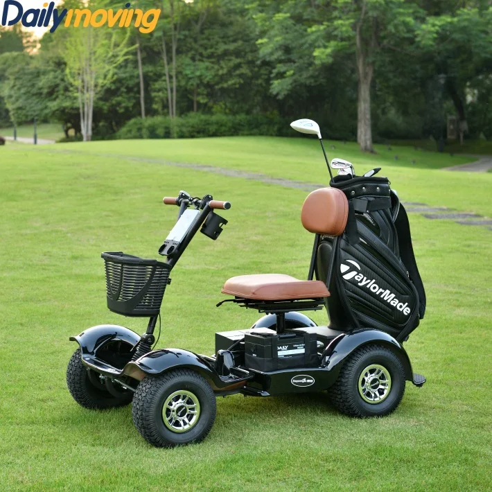 Best Price 1Seat Mini Golf Cart Electric Golf Cart Sightseeing Golf Cart