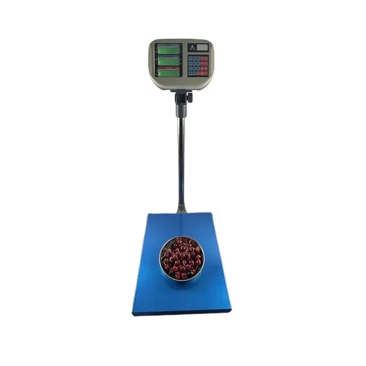 100kg-300kg Counting Weighting Scale, Digital Electronic Weighing Platform scale