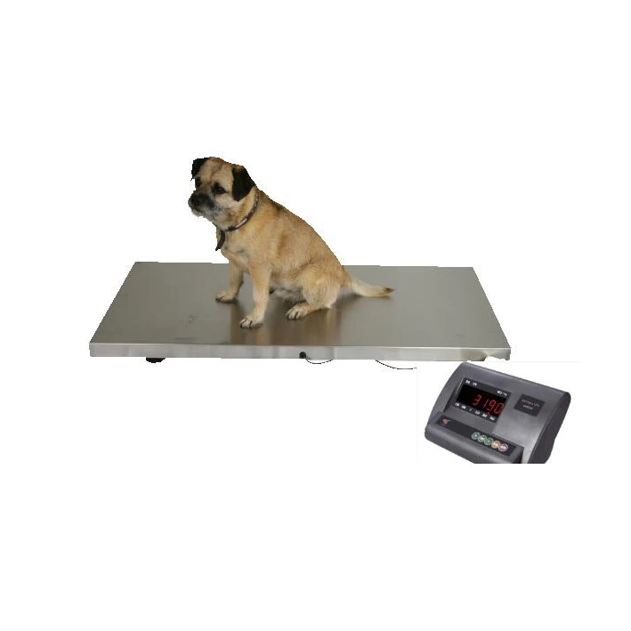 cattle  electronic weighing scales