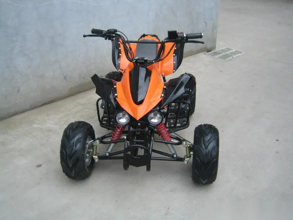 Mini ATV for Adult and Children Good Quality Quad Atv 110CC 125cc 4-stroke OEM 250cc 48V Automatic 250cc Quad Bike /atv ECE 2WD