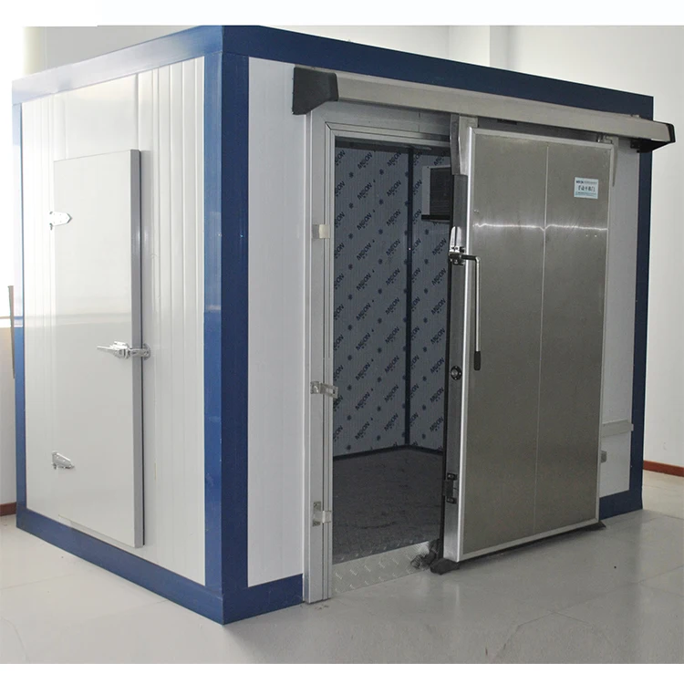 Frozen Fish Meat Freezer Room Negative Freezing Room Cold Room