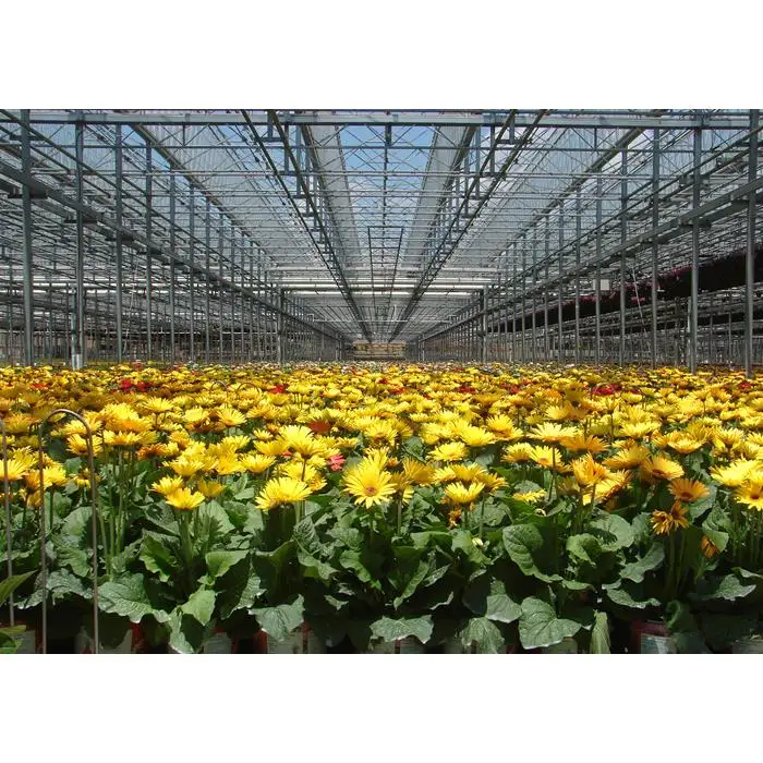 smart irrigation vertical hydroponic system agricultural farming Muti-span Venlo agriculture glass greenhouse
