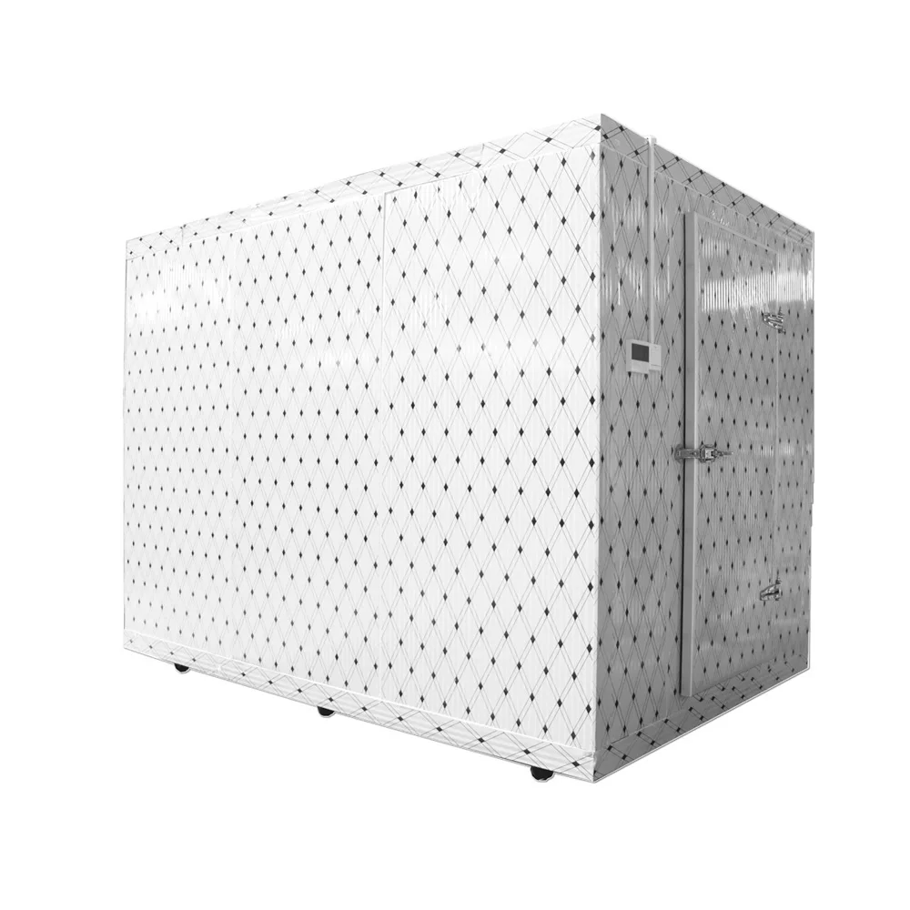Quick Freezer Best Rechargeable Battery Solar Power for fish meat vegetable Cold Storage Room for Vegetables and Meat