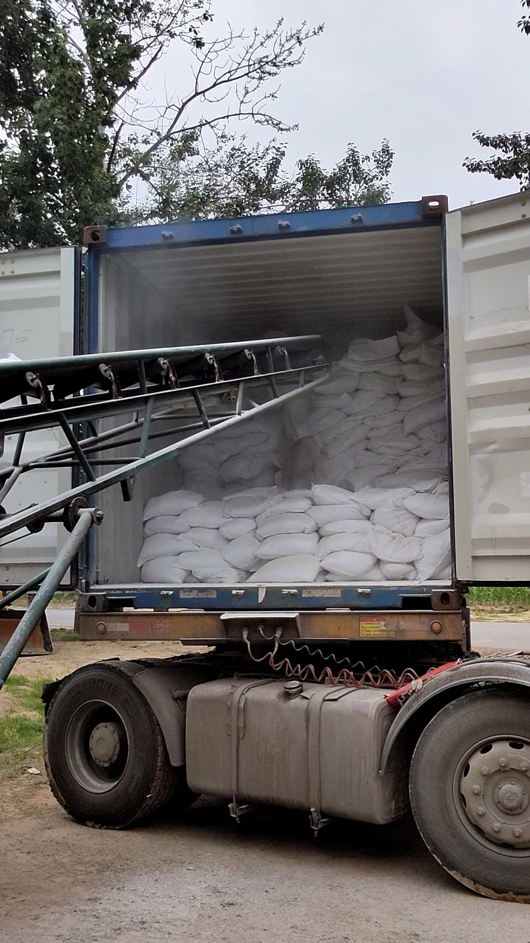 good quality livestock manure fermentation bed probiotics/bacteria -Degradation deodorization disinfection fermentation