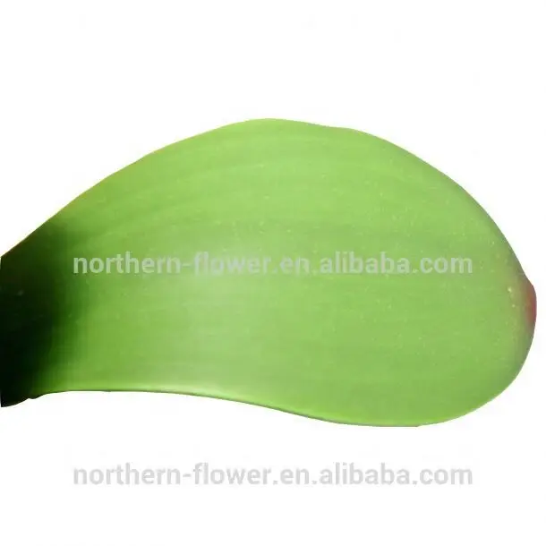 Artificial Orchid Petals Artificial Pink Orchid Flowers Decor Diy Artificial Preserved Foam Orchids In Box