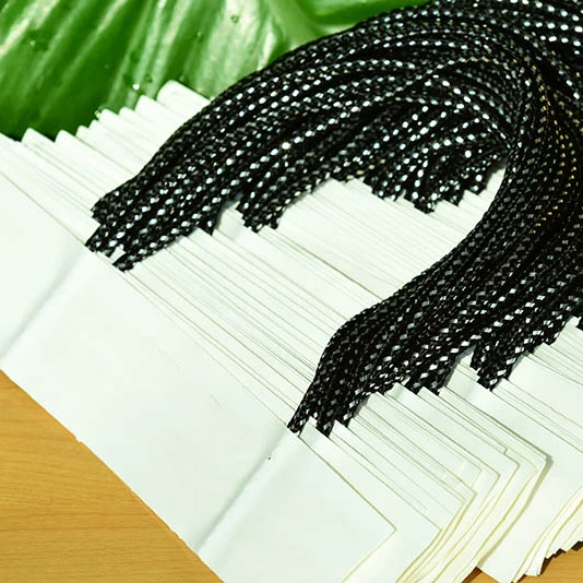 Asunpaper Paper Rope Handle