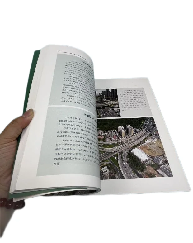 Books Bulk Story Collection 3D De Custom Bible Loader Magazine Biblias Reina Burn Book