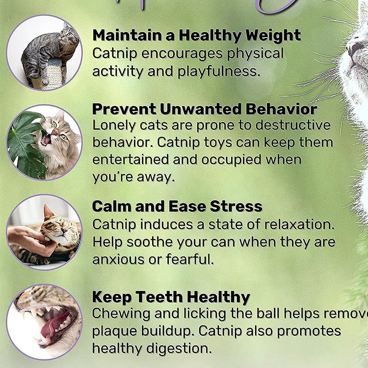 2023 New Product Banish Anxiety Essential Cat Accessory Cat Mint Ball