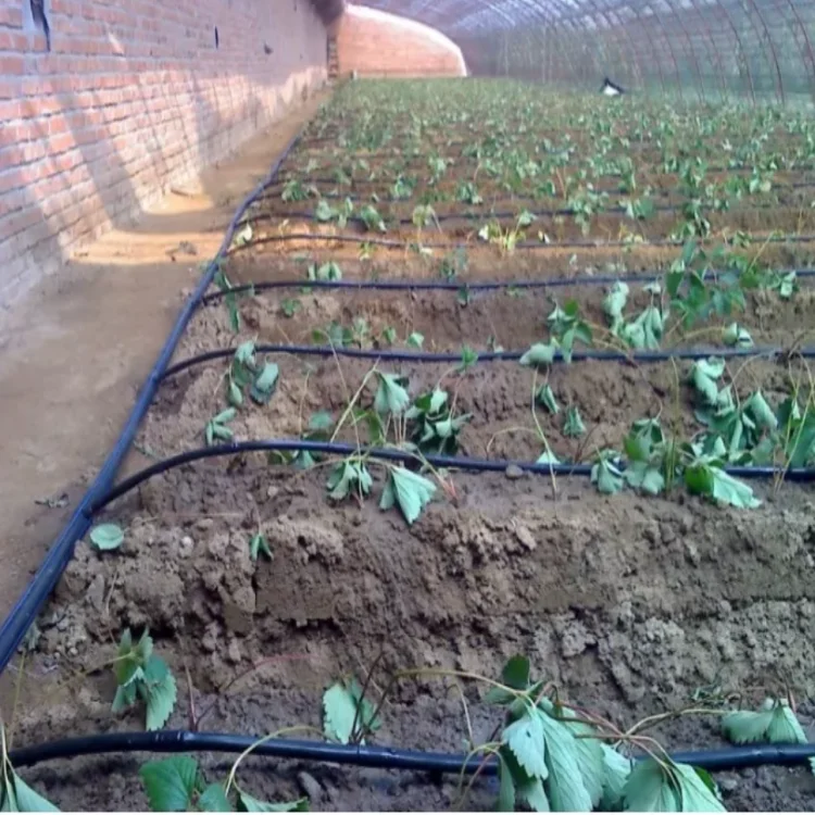 1 Hectare Irrigation Kit Design16mm Irrigation Pipe With Cylindrical Dripper For Farm Irrigation