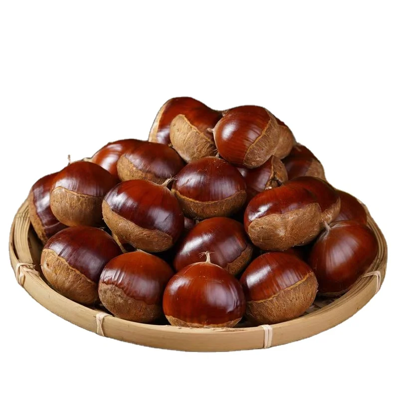 Organic Fresh Chestnuts Sweet Dried Snack for Food Raw and Roasted Processing for Eating