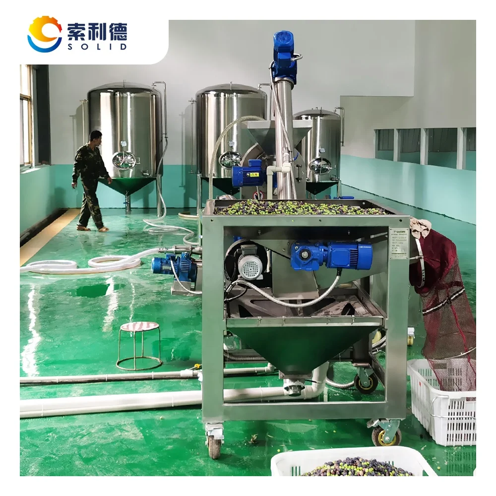 500KG/H Olive Oil Extraction Machine By 2 Phase Separation Extraction