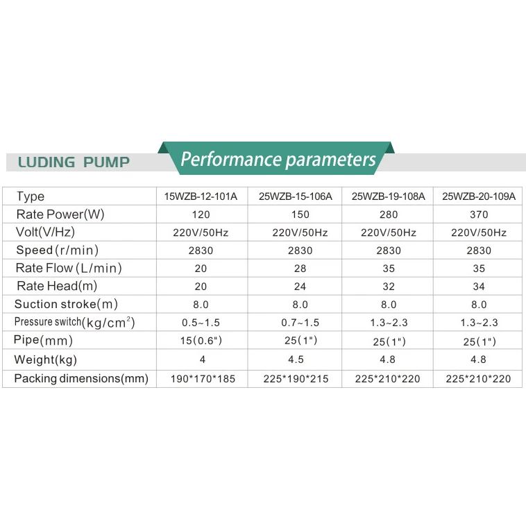 Family Homes Durable Economical Automatic Hot And Cold Water Self-Priming Pump