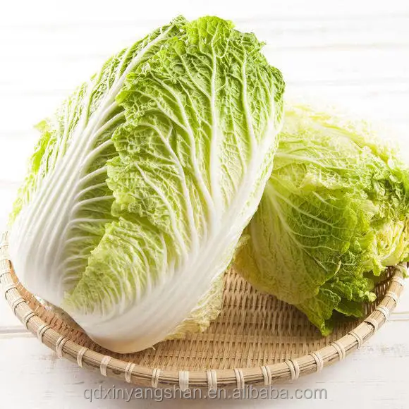 AMY Fresh Cabbages  Cabbage  OEM  OAM