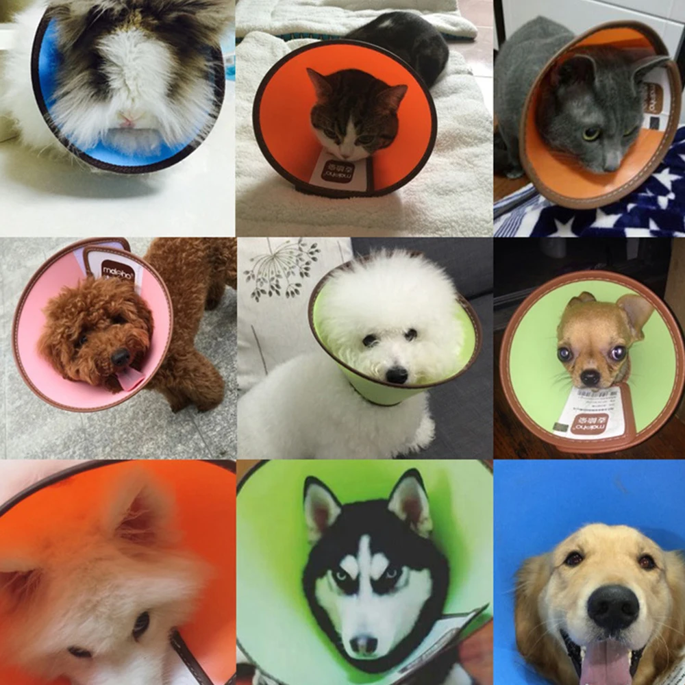 Pet supplies dog cat new felt crown Elizabeth ring anti-licking and anti-bite shame ring pet headgear Collars