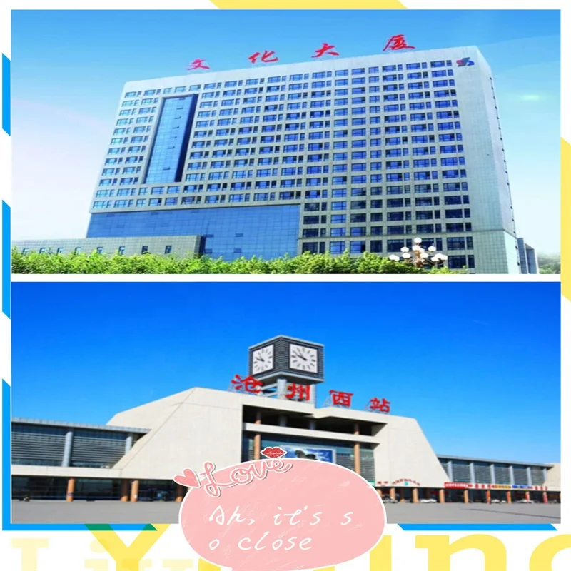 High quality  choline chloride 70% vitamin B4 67-48-1 used for animals feed additives VITAMIN B4