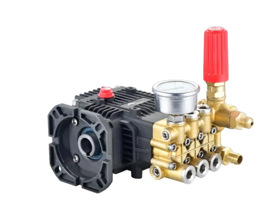 TONGSHUN 100Bar High Pressure Plunger Pump Pressure Cleaner For Car Washing 8L/MIN