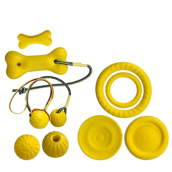 TPR TPE TPU Frisbee Flying Pan Disc Saucer OEM factory Injection Molding for Dog Training