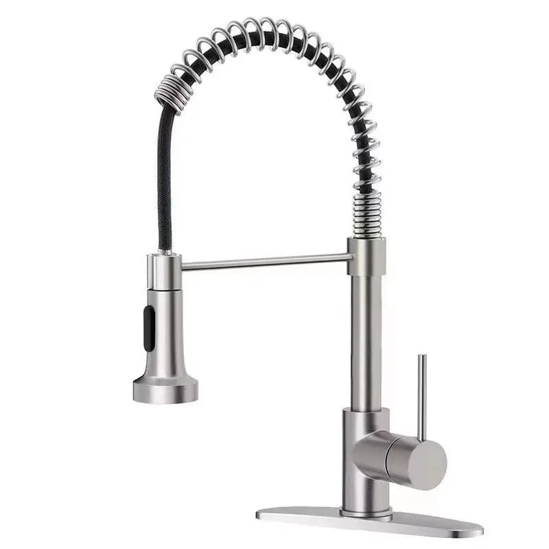 Kitchen Faucet with Pull Down Sprayer Brushed Nickel Stainless Steel Single Handle Pull Out