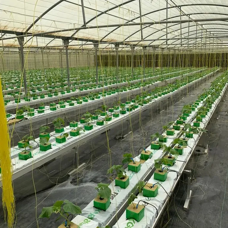 Galvanized Metal Stand Frame with 3 PVC Gutters for Substrate Gutter Hydroponics System