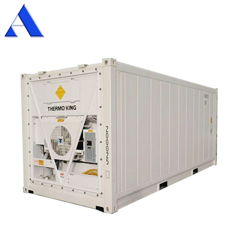 
NEW Thermo king Refrigerator Freezer Cold Room 20ft Reefer Container for sale 