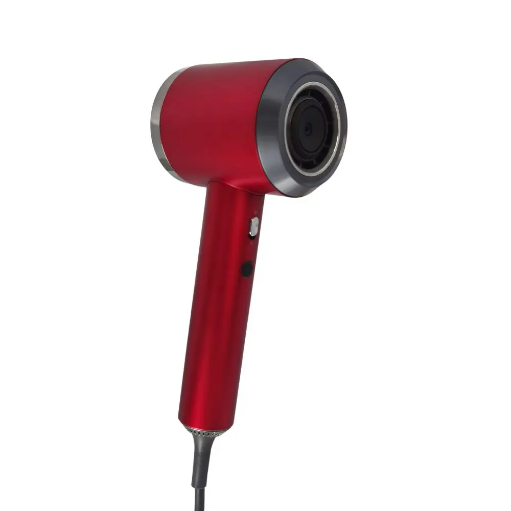 220V Mini Travel BLDC Portable Salon Powerful Hair Dryer Professional Circle One Step Negative Ion Hair Dryer