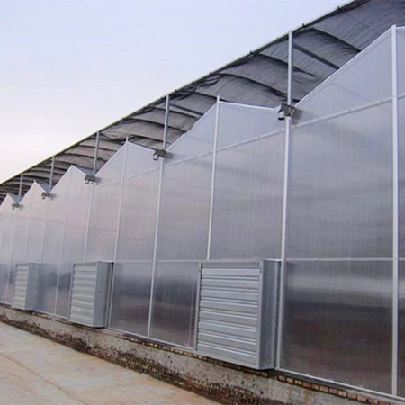 Good Price Agricultural Polycarbonate Plastic Board PC Sheet Greenhouse with Customized Hydroponic Design