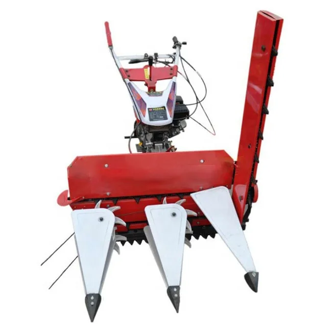 Large capacity wheat harvester