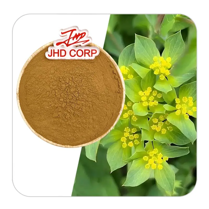 Wholesale Price Chinese Thorowax Root Bupleurum Extract Powder