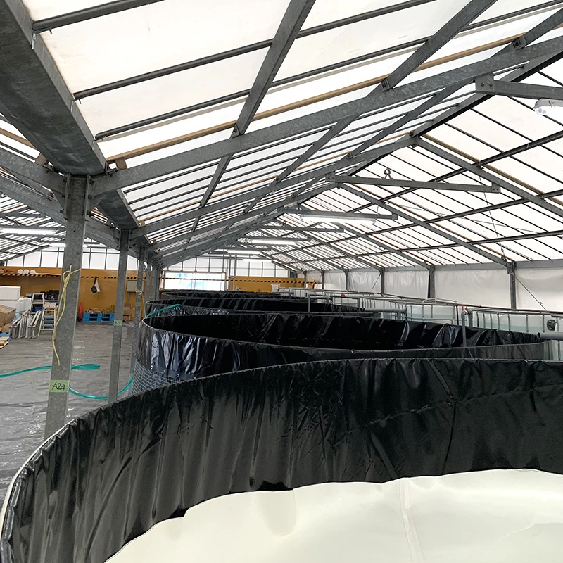 Customizable Fish Tanks For Sale Agriculture Plastic Irrigation Water Tank Large Fish Tank Material Aquaculture