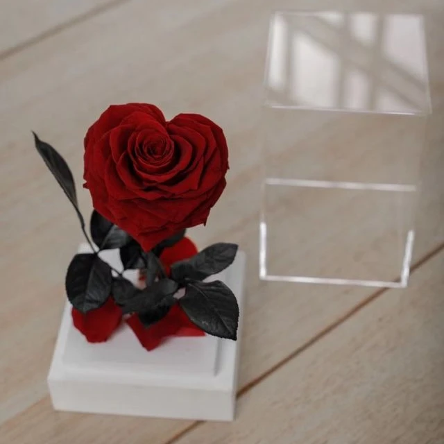 Factory price red roses gift summer flora wholesale forever red rose acrylic box flower send to a friend