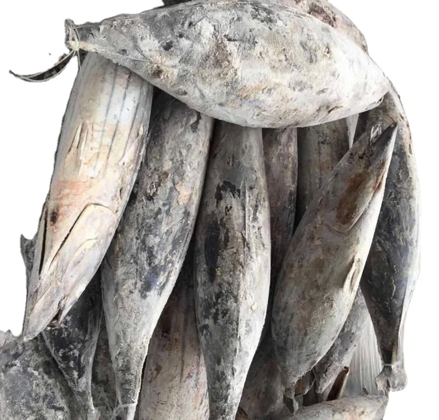 Замороженный тунец по хорошей цене