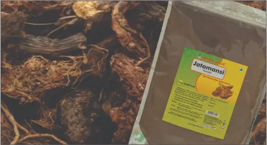 
Jatamansi Powder 