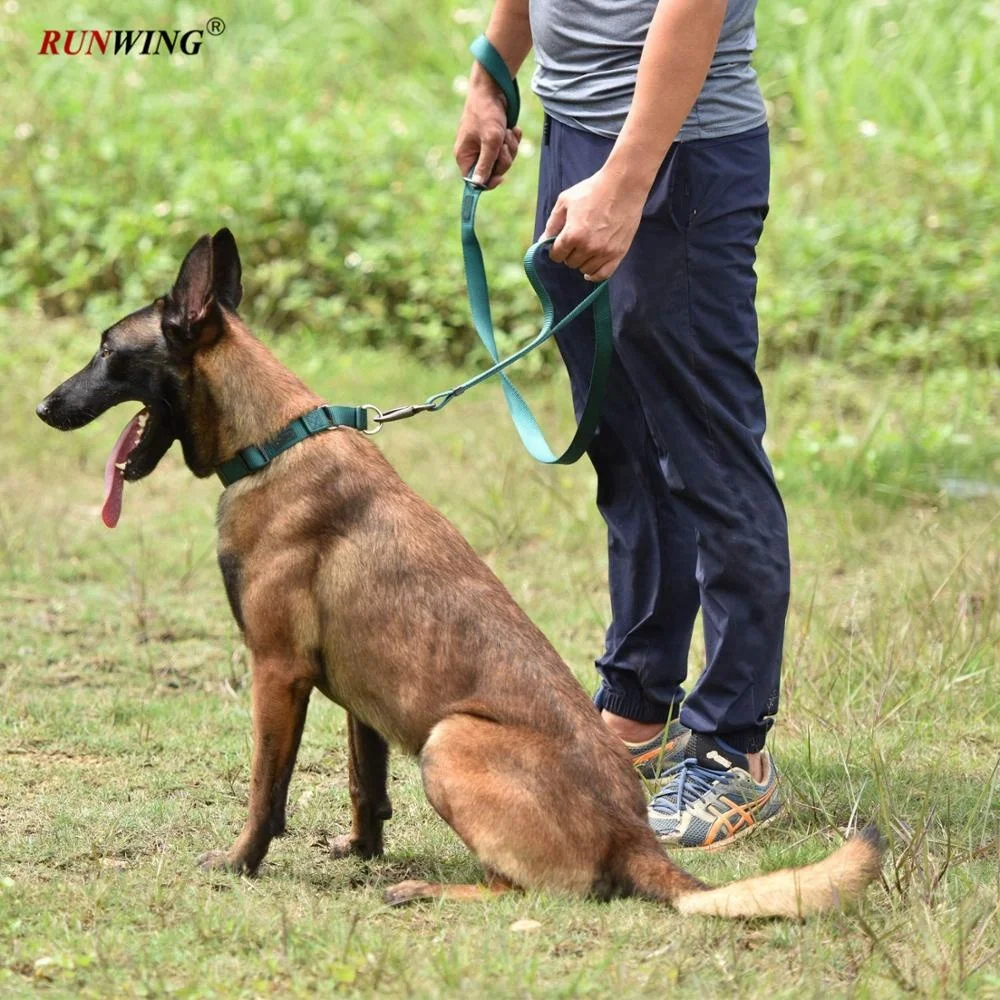 Dog Leash Adjustable Nylon Webbing Dog Leash Lead 6ft with Carabiner for Medium Large Dogs