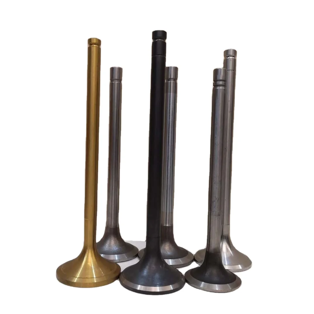 Factory Direct Sale  VM 2.5    intake and  exhaust  Engine Valve