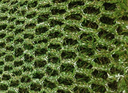 Chinese Factory Direct for Ultimate Landscape Hybrid Grass Innovation