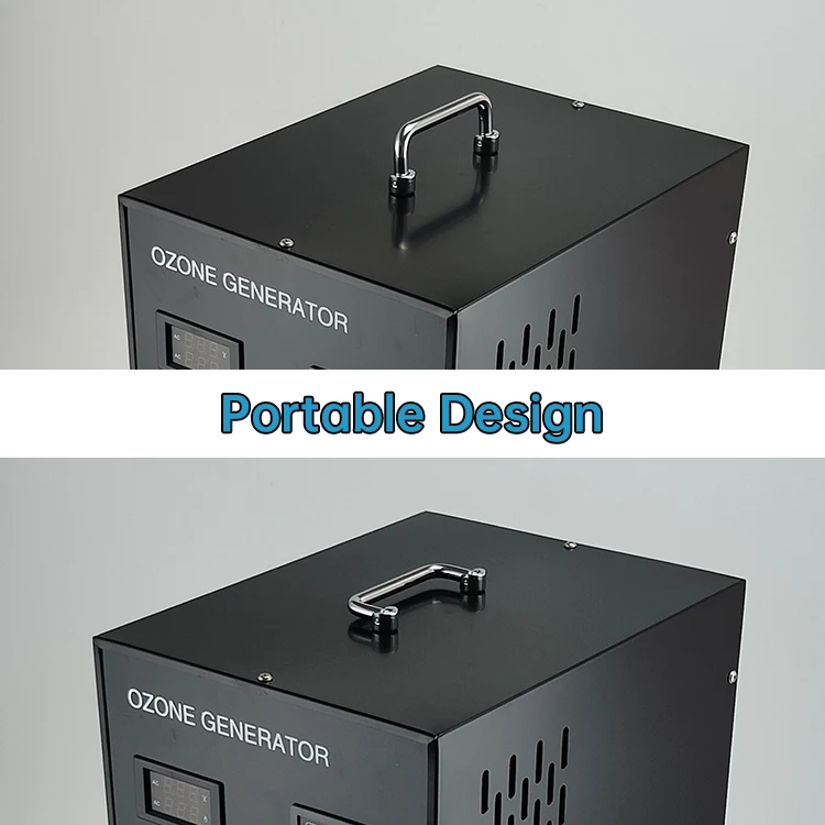 Factory Price  20G Ozone Generator For Water Treatment generador de ozono de agua