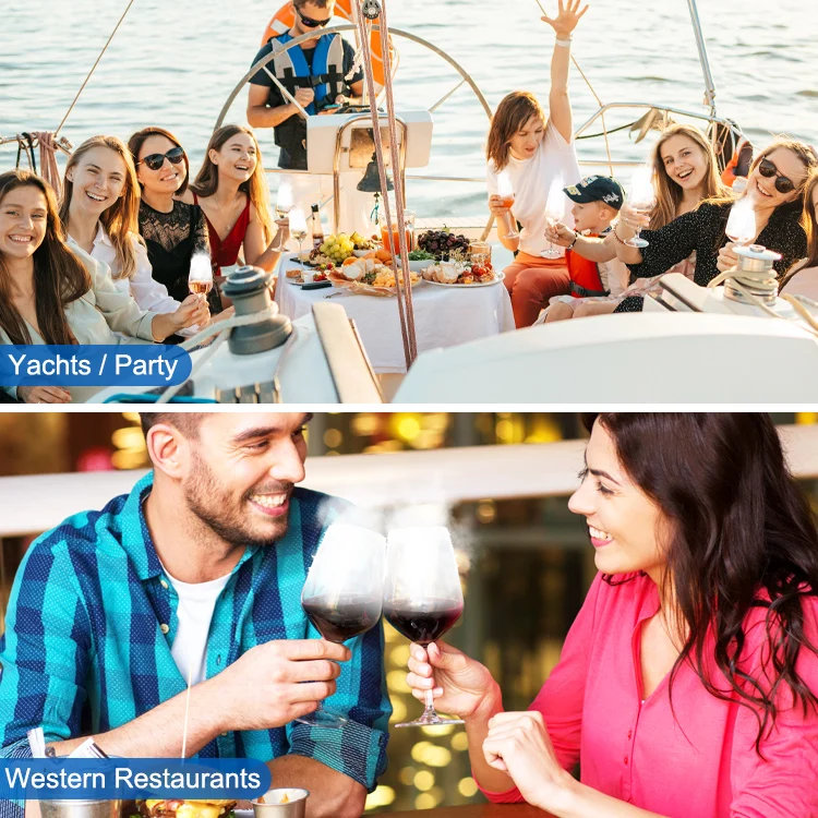 Instant Rapid Fast CO2 Glass Froster Chiller Cooler Freezer for Beer Wine Whiskey Cocktail