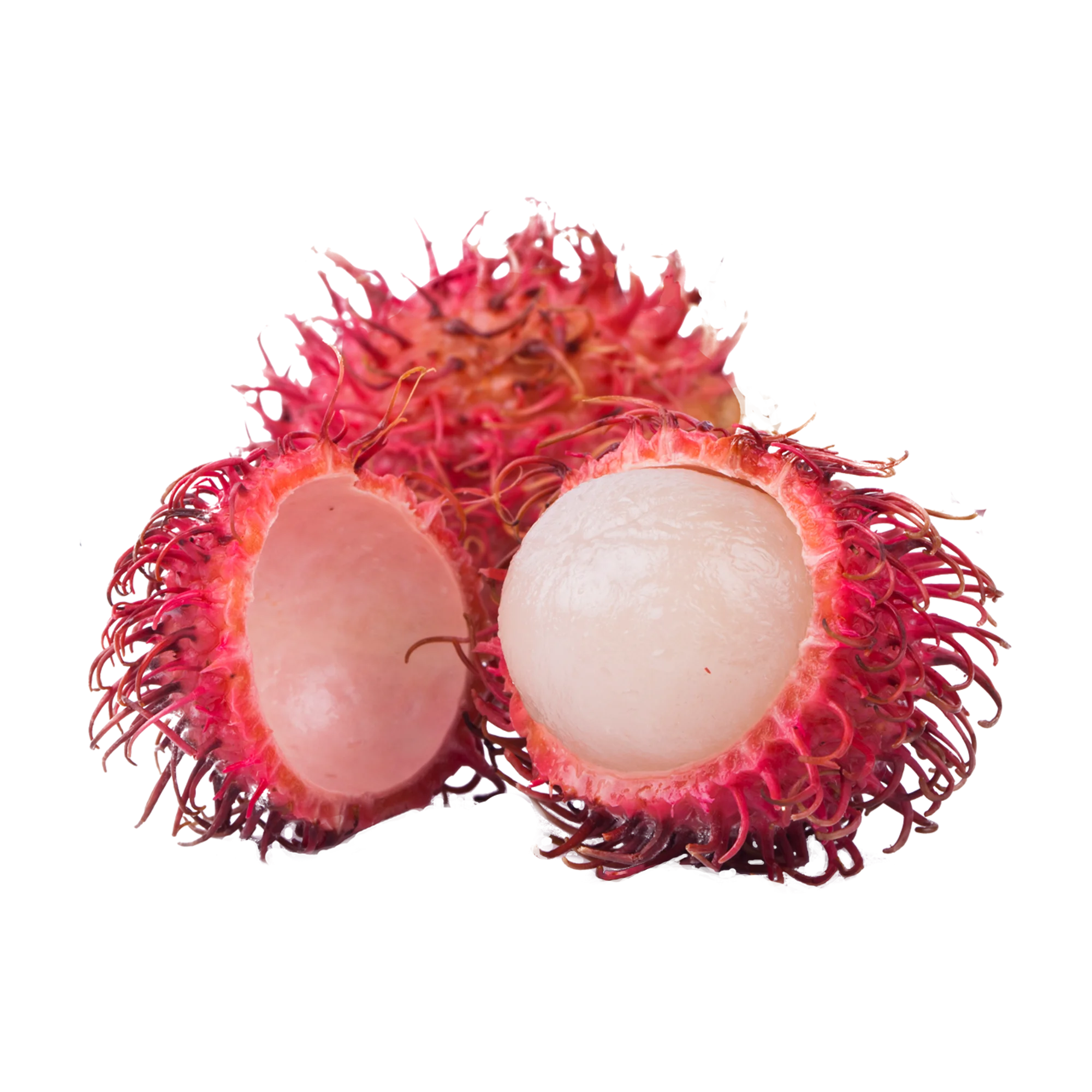 Export quality Cheap Bulk Fresh Rambutan Natural Sweet Fresh Rambutan for Daily Use Origin Viet Nam