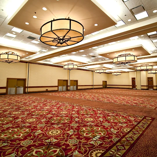 5 Star Hotel 80% Wool 20% Nylon Banquet Hall Flooring Axminster Hotel Carpet, High Quality Hotel Carpet