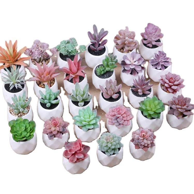 Wholesale Amazon hot sale European style mini small Diamond Cup white Ceramic flowerpot