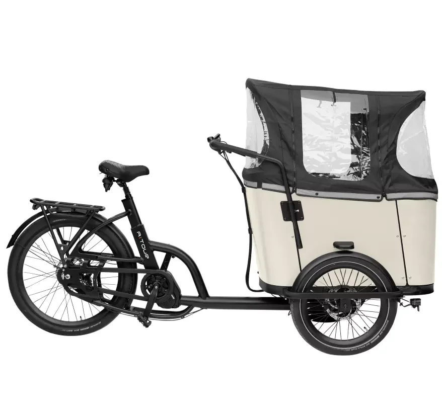 Wuxi Cargo Bakfiet Cargo Bike Three Wheel Bike  Electric Cargo Bike for Sale