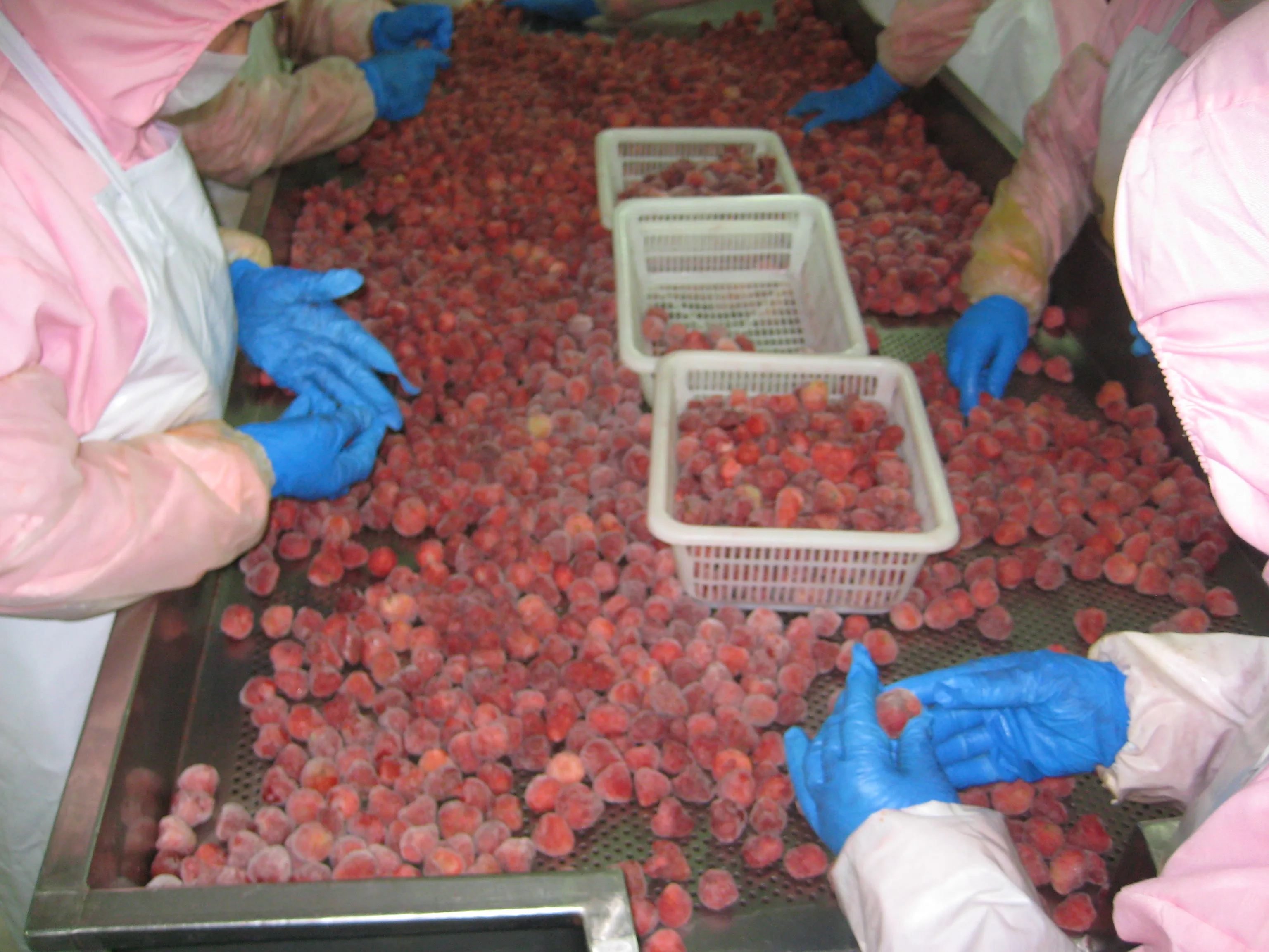 IQF frozen strawberry