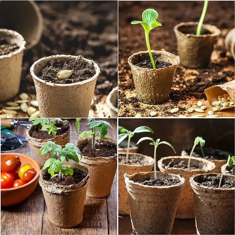 disposable Biodegradable paper Seed Starter Pots for starting flowers herbs vegetable saplings